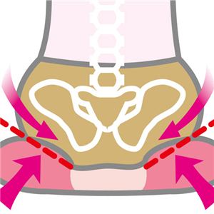 ���؁E���ՃN�b�V�������Օ��׃C���[�W